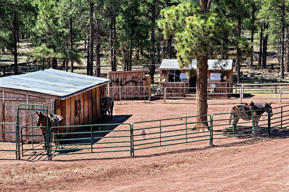Mountain Ranch Resort At Beacon Hill Williams Kültér fotó